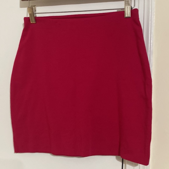Express Skirts - Picture 2 of 4